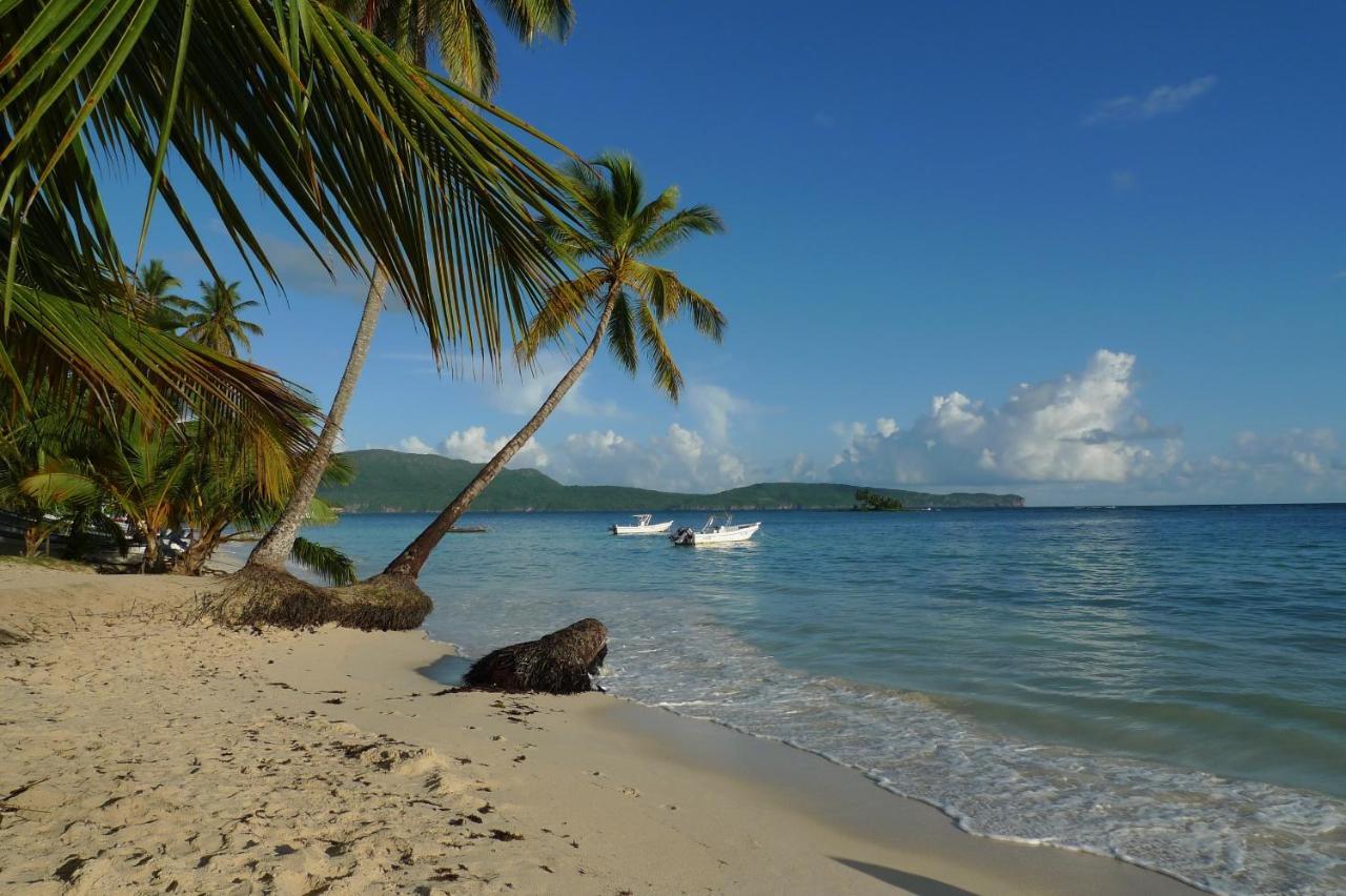 Apart-Hotel Garden Villa Las Galeras Eksteriør billede