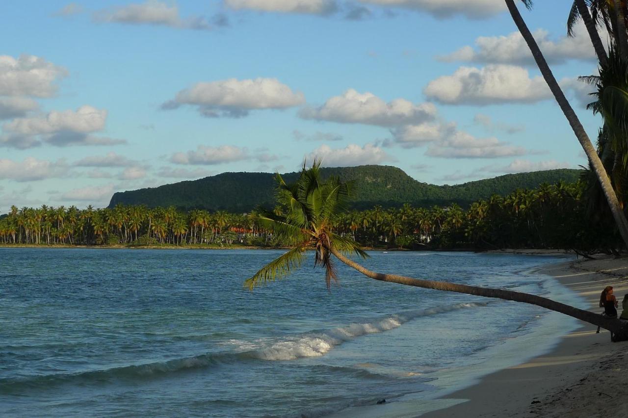 Apart-Hotel Garden Villa Las Galeras Eksteriør billede