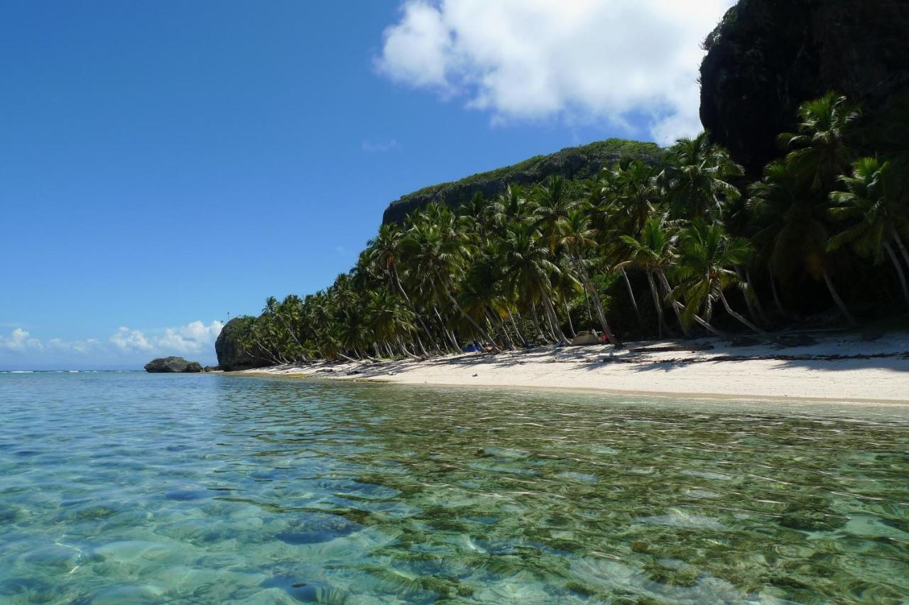 Apart-Hotel Garden Villa Las Galeras Eksteriør billede